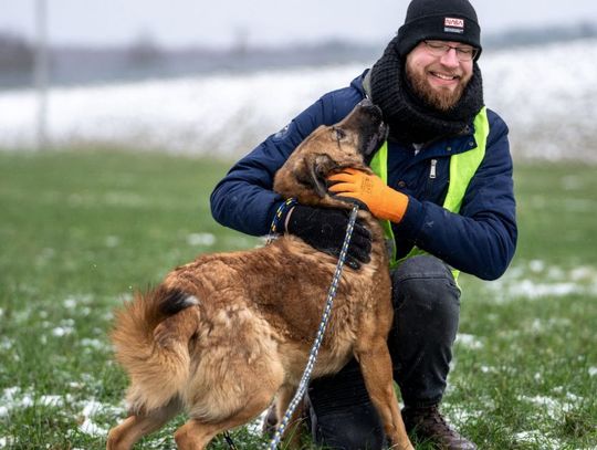 Bohaterowie DogPawLove - wolontariusze ze Schroniska dla Bezdomnych Zwierząt w Pawłowie [Zdjęcia]