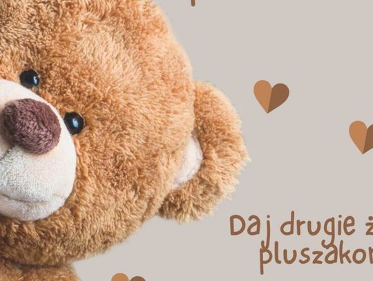 Charytatywna zbiórka pluszaków!
