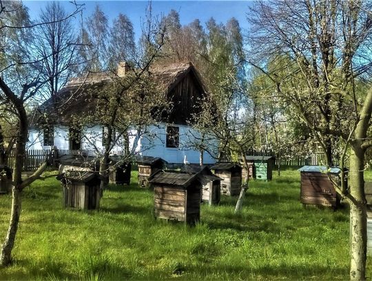 Chodzenie po oborniku, kąpiele nago - czyli o dawnych wielkanocnych zwyczajach Mazowsza Chodzenie po oborniku, kąpiele nago - czyli o dawnych wielkanocnych zwyczajach Mazowsza