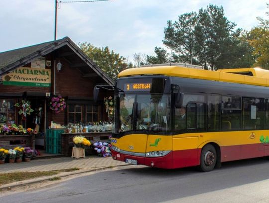 Ciechanów. Autobusy komunikacji miejskiej w okresie Wszystkich Świętych