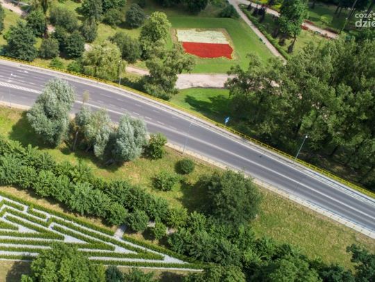 Ciechanów. Miasto pozyskało 200 tys. zł na rozwój zieleni