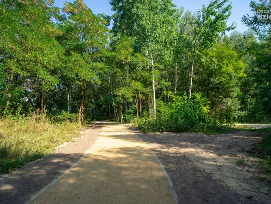Ciechanów. Miasto rozbudowało ścieżki na Krubinie