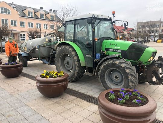 Ciechanów. Miasto ruszyło z wiosennymi porządkami!