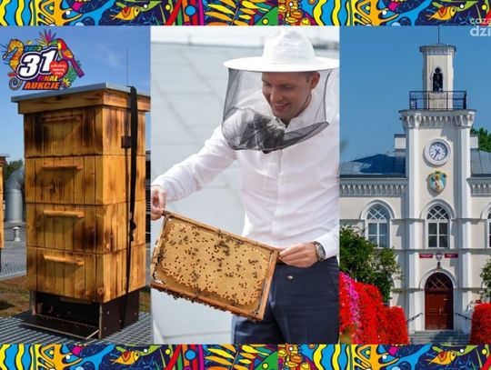 Ciechanów. Miodobranie z prezydentem na dachu ratusza w licytacji WOŚP
