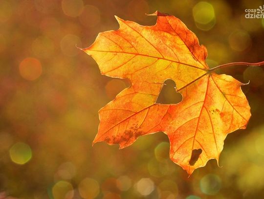 Ciechanów, Mława, a może Zielona? Propozycje kulturalne na długi listopadowy weekend