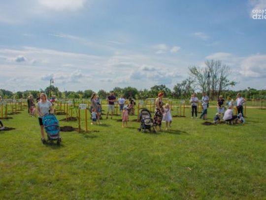 Ciechanów. Park przy ulicy Augustiańskiej gotowy!
