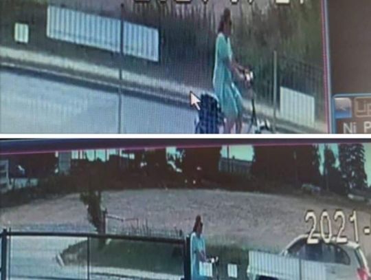 Ciechanowska policja szuka złodzieja psa