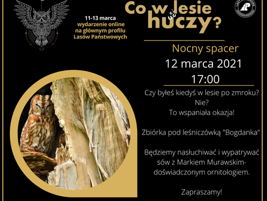 Co w lesie huczy? Nadleśnictwo Ciechanów zaprasza na nocy spacer