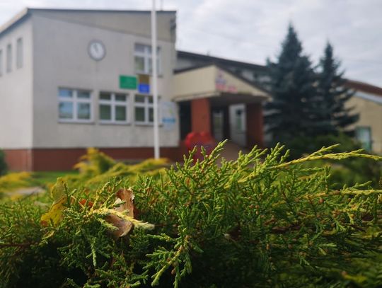 Co z parkiem w Glinojecku? Wykonawcy inwestycji brak