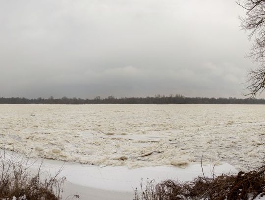 Czerwińsk. Sytuacja na Wiśle się stabilizuje