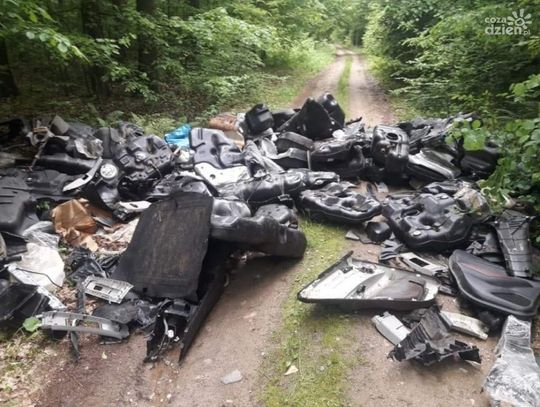 Części samochodowe w lekowskim lesie