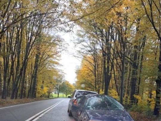Dachowanie w gminie Grudusk. Kierowca trafił do szpitala