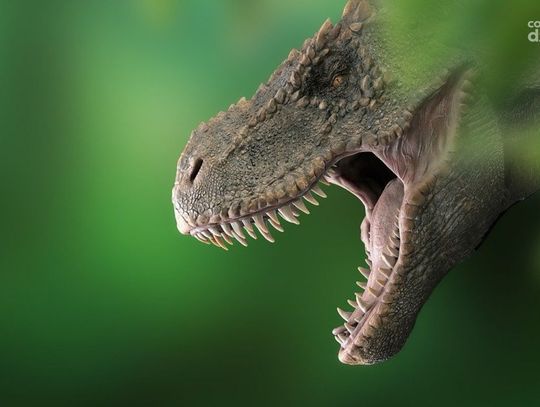 Dinozaury w Park Nauki Torus!