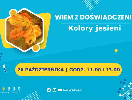 Dlaczego liście spadają? Dzieci znajdą odpowiedź na tych warsztatach