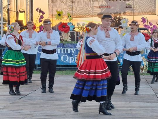 Dożynki gminy Opinogóra Górna w Pałukach