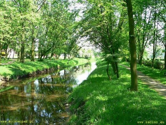 Duży park w Raciążu zmieni się nie do poznania