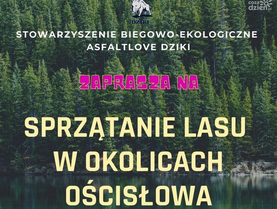 Dziki posprzątają las. Asfaltlove Dziki