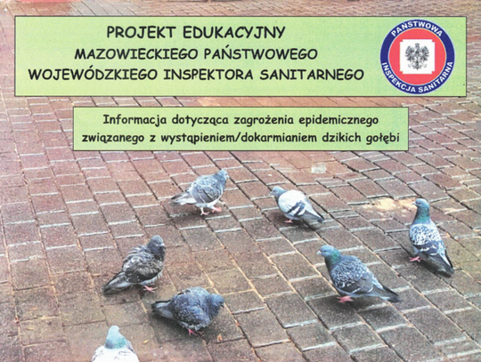 Dzikie ptactwo może przenosić zarazki i pasożyty, a tym samym choroby. Inspektor sanitarny ostrzega