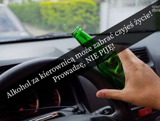 Dziś Dzień Trzeźwości - dla kierowców powinien być codziennie