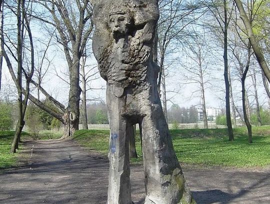 Eko-inicjatywy ciechanowskiej radnej