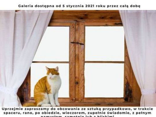 "Galeria za szybą" w Kamienicy WARSZAWSKA 18