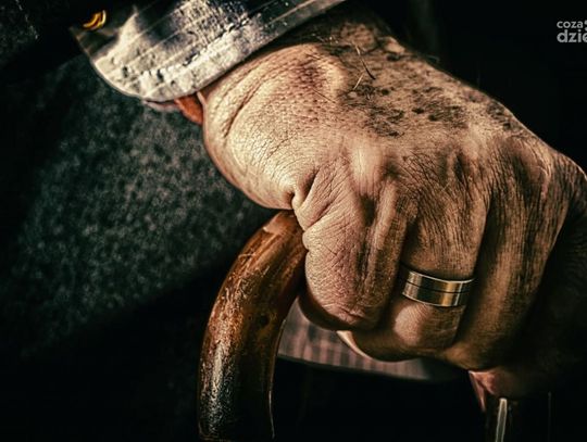 Godna polecenia agencja opiekunek osób starszych