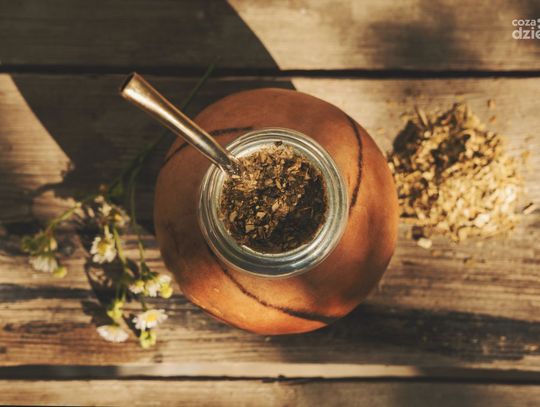 Jakie zalety ma napój yerba mate?