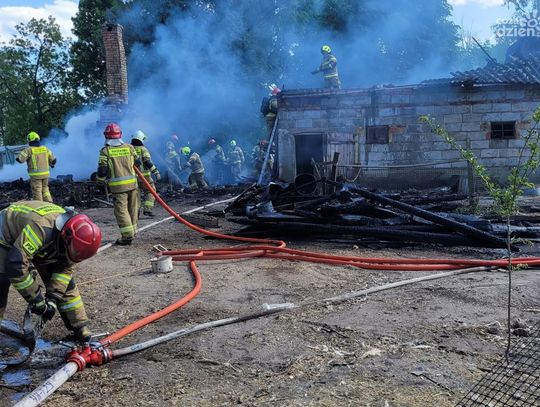 Jednostka OSP Gąsocin i inne zastępy gasiły pożar budynku gospodarczego w Ciemniewie