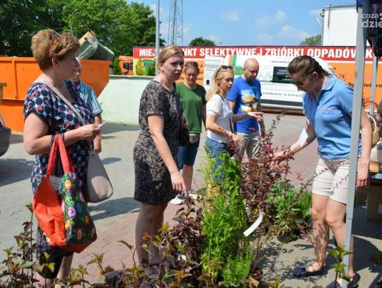 Kolejna eko-akcja w Ciechanowie. Miasto rozda zadzonki za elektrośmieci!