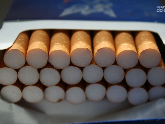 Kolejny ciechanowianin z nielegalnymi papierosami
