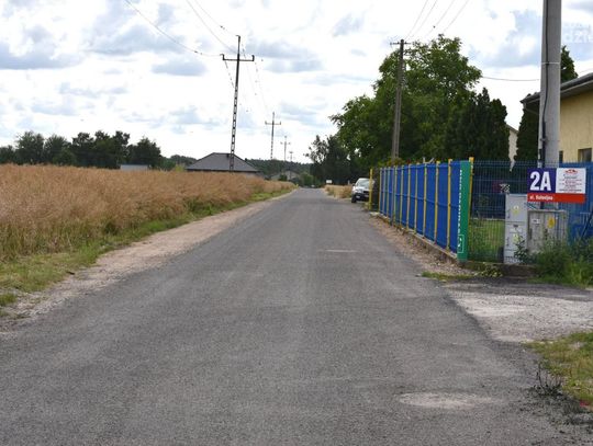 Kolonijna wyrównana i utrwalona