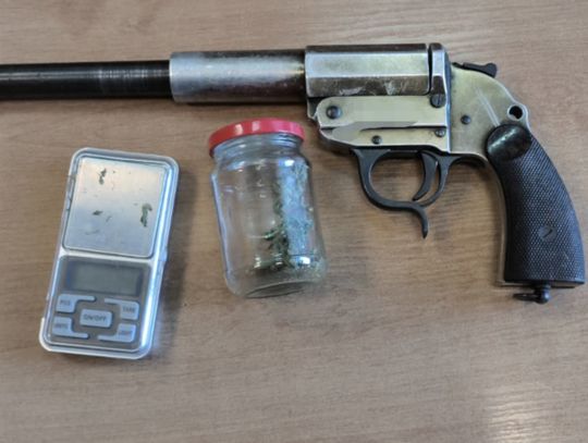 Koniec rodzinnej "plantacji". Policja złapała 17-latka z marihuaną i matkę z półtorametrowym krzewem
