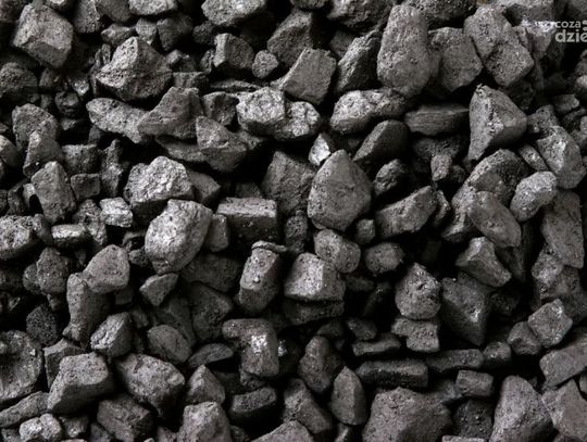 Koniec ucieczki! Brutalny kryminalista odnaleziony po 8 latach w piwnicy, gdzie ukrywał się pod ekogroszkiem