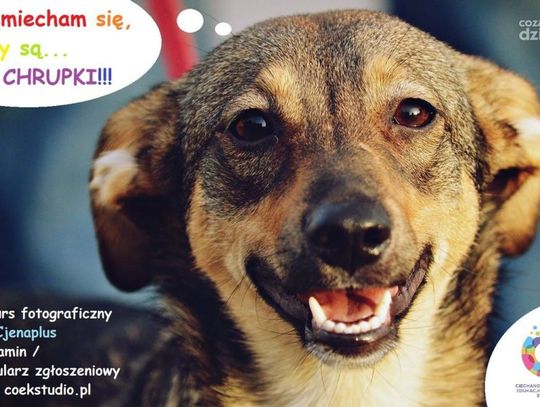 Konkurs fotograficzny "eMOCjenaplus"