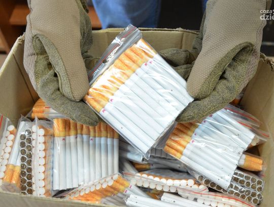 Kontrabanda papierosów w Mławie - zatrzymano 39-latkę z towarem wartym ponad 43 tysiące złotych
