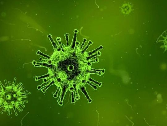 Koronawirus. Stabilna sytuacja w ciechanowskim szpitalu