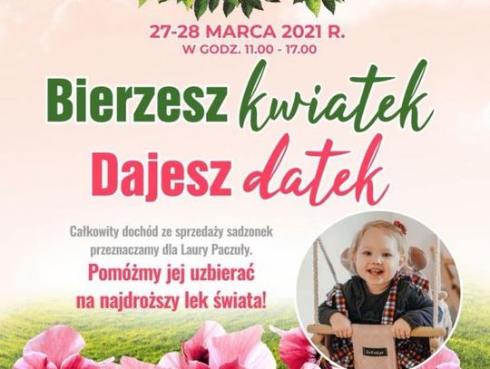 Kup kwiatek pomóż Laurze!