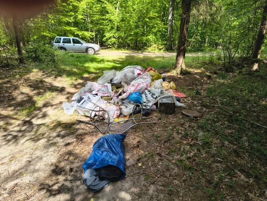 Wielka sterta śmieci w lesie na terenie Nadleśnictwa Ciechanów.