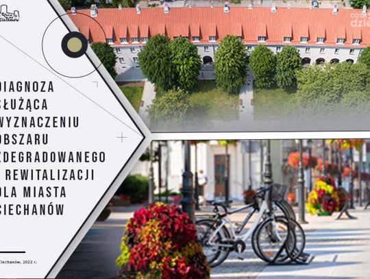 Mają na celu stworzenie szczegółowej diagnozy obszaru rewitalizacji