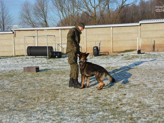 Mazowiecka Brygada Obrony Terytorialnej
rozpoczyna program „GPR K9 WOT”