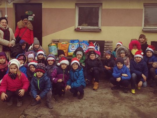 Mikołajki w Schronisku dla Zwierząt Bezdomnych w Pawłowie pod znakiem zapytania