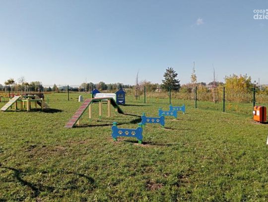 Mława przebudowuje wybieg dla psów