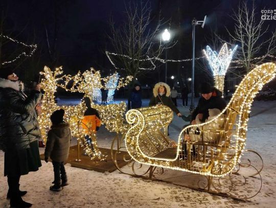 Mława. Świąteczne iluminacje świecą przykładem