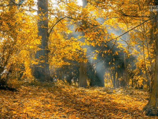 Najlepsze miejsca na jesienny wypoczynek z dzieckiem