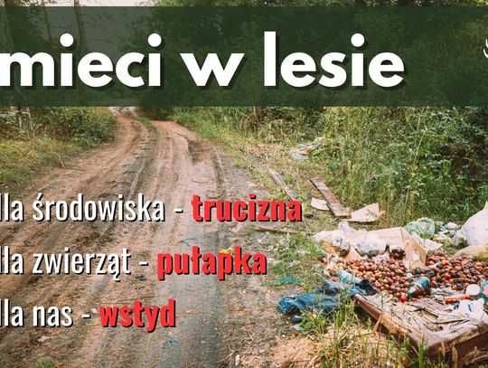 Nie zostawiaj śmieci w lesie! Zwierzęta cierpią przez ludzką bezmyślność
