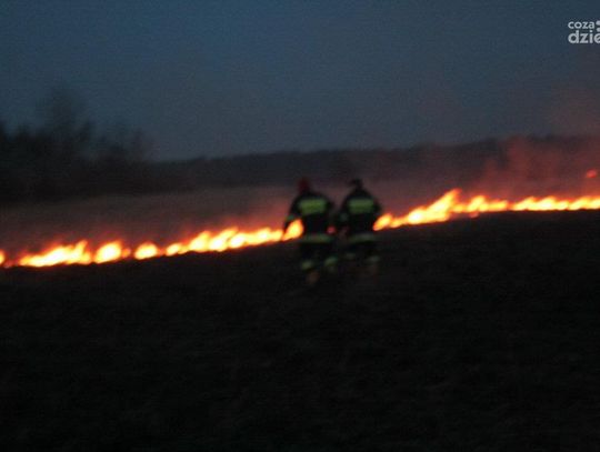 Niebezpiecznie w Dąbku, spłonęło kilkaset bel słomy 