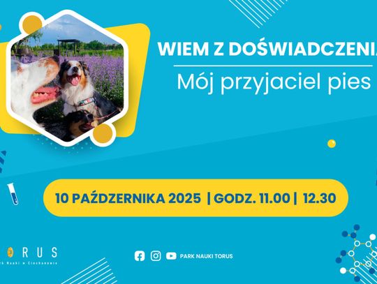 Niezwykłe Warsztaty w Torusie: "Mój Przyjaciel Pies" – Edukacja, Empatia i Wsparcie Emocjonalne!