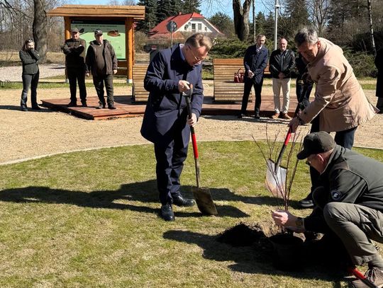 Nowa enklawa spokoju pod Mławą: leżaki, rowery i bliskość natury