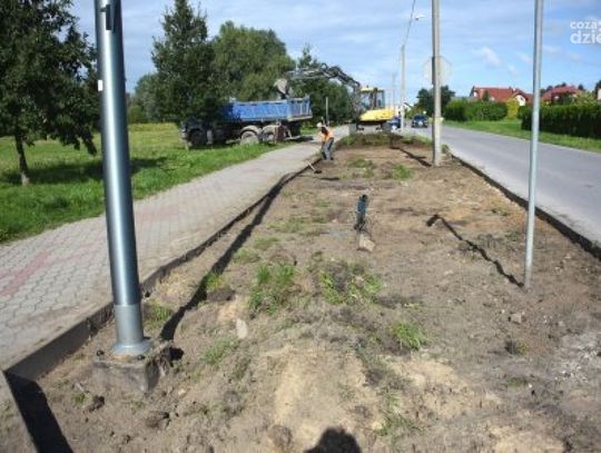 Nowe nasadzenia przy ul. Parkowej w Ciechanowie
