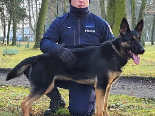 Nowe psy patrolowe w służbie Policji!